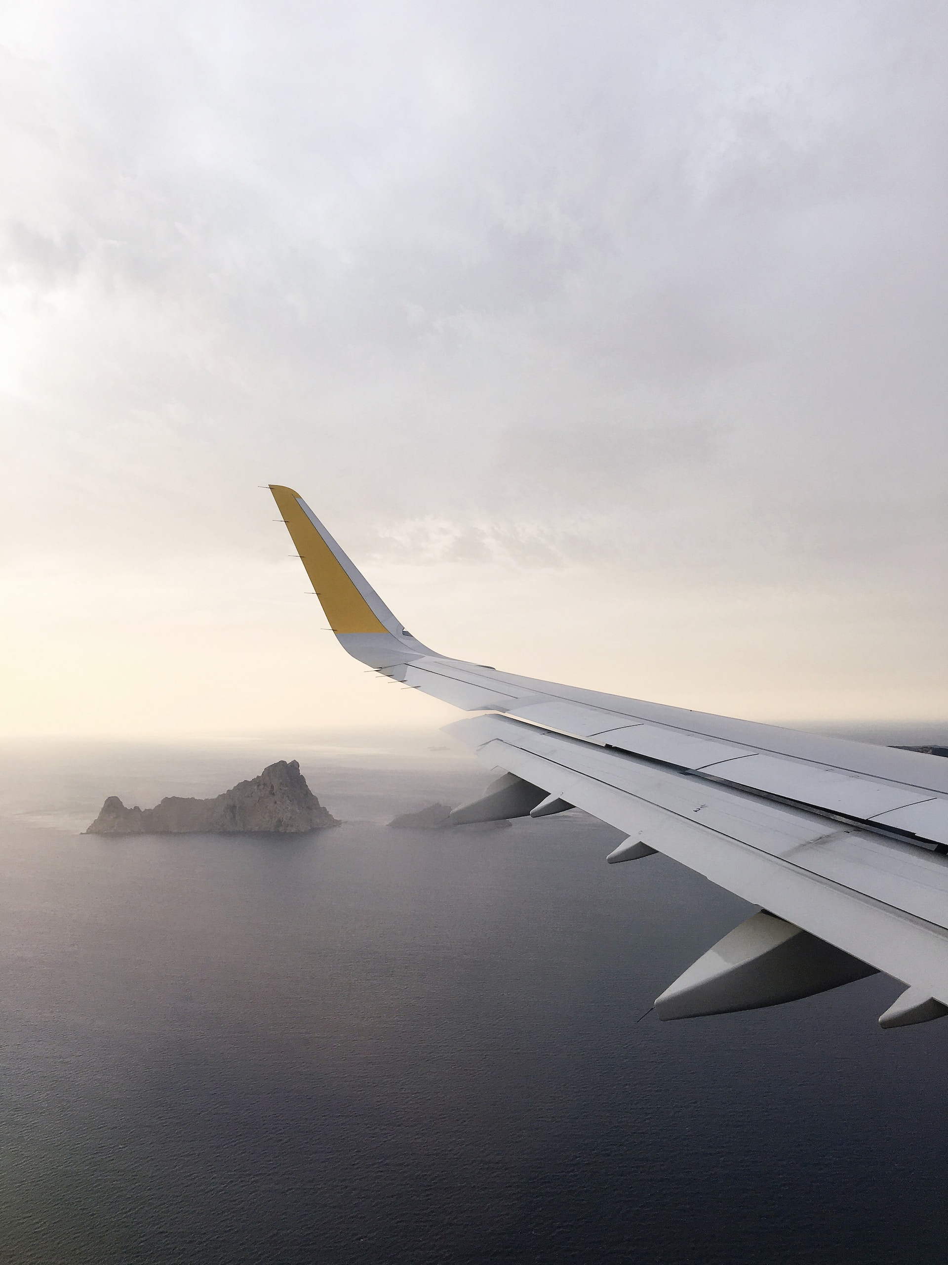 plane wing